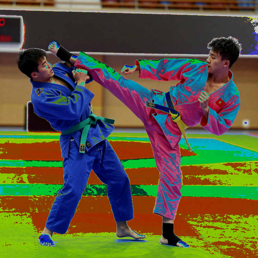 Chuncheon và tấm vàng giữ bằng một nửa đội hình mới: Đọc lại chiến thắng poomsae của Việt Nam